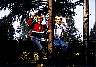 treeboys.jpg